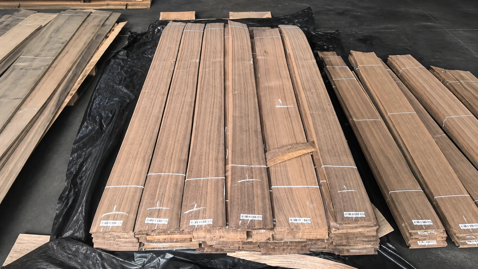 Black Walnut veneer production 6